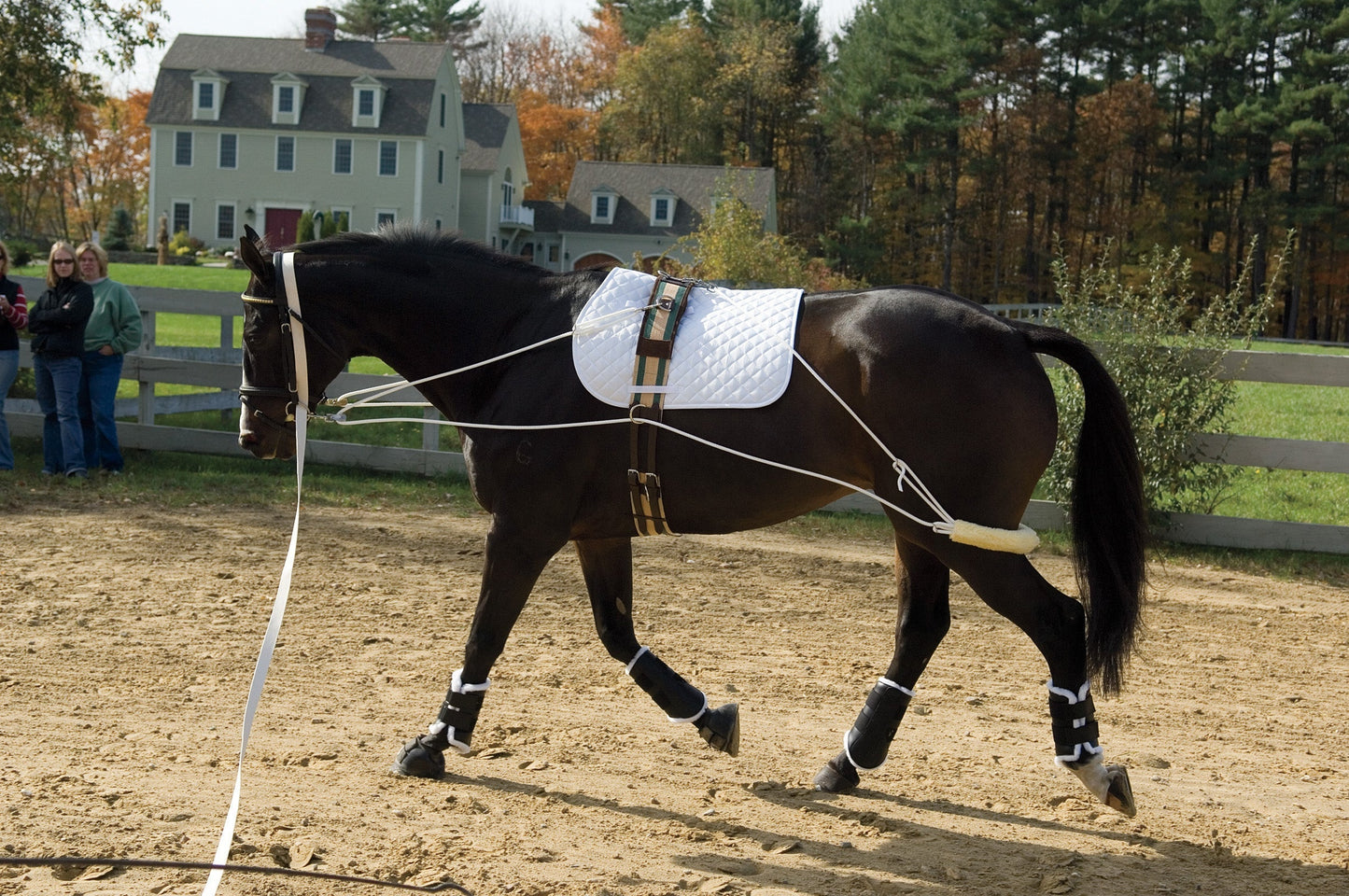 Training System