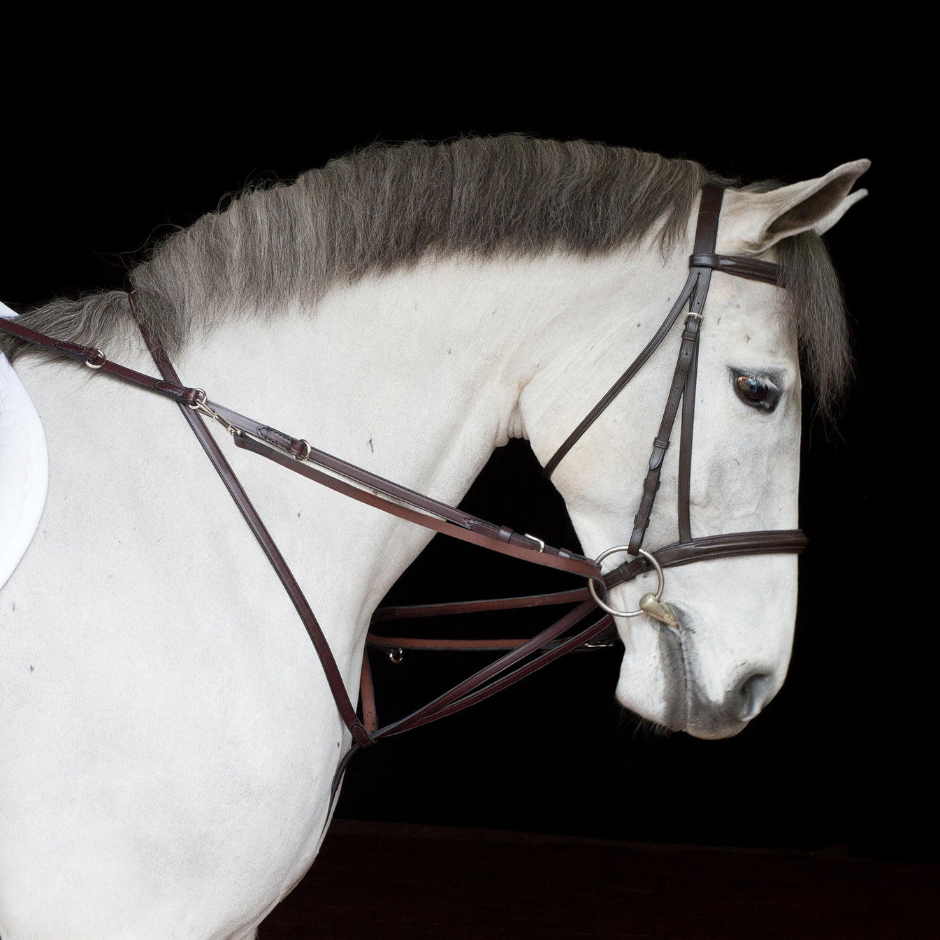 German Martingale Rein Set