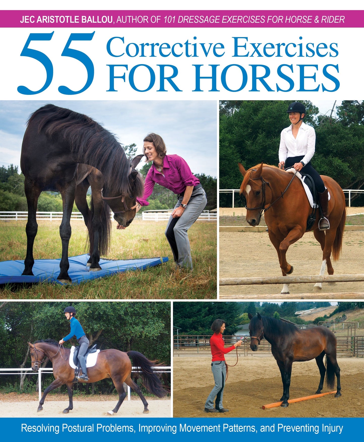 Corrective Exercises for Horses