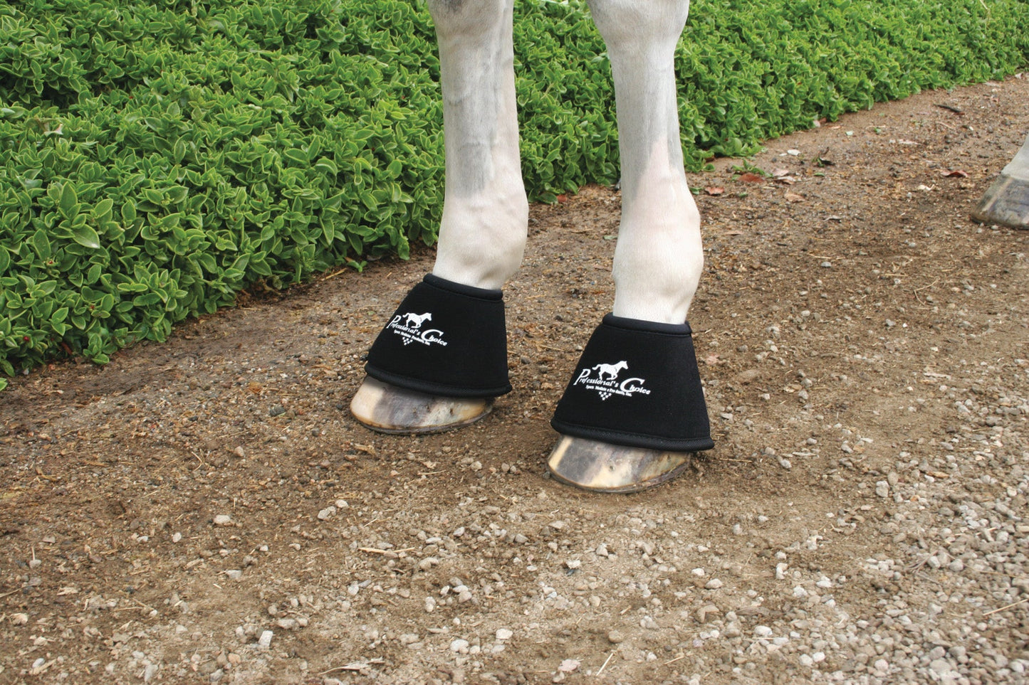 Bell Boots