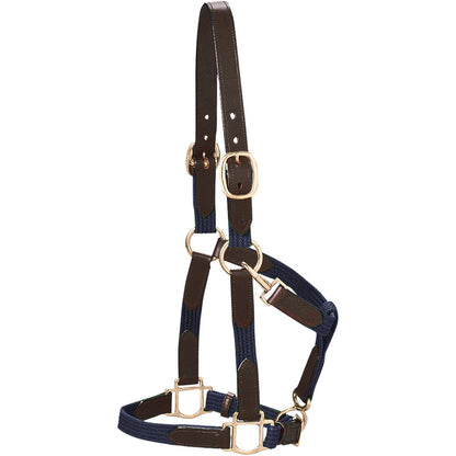Web Halter