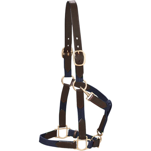 Web Halter
