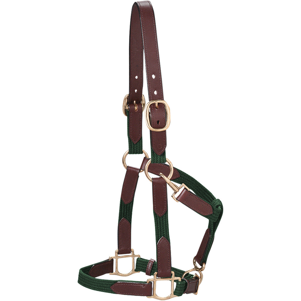 Web Halter