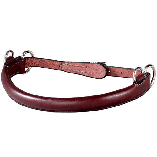 Hackamore
