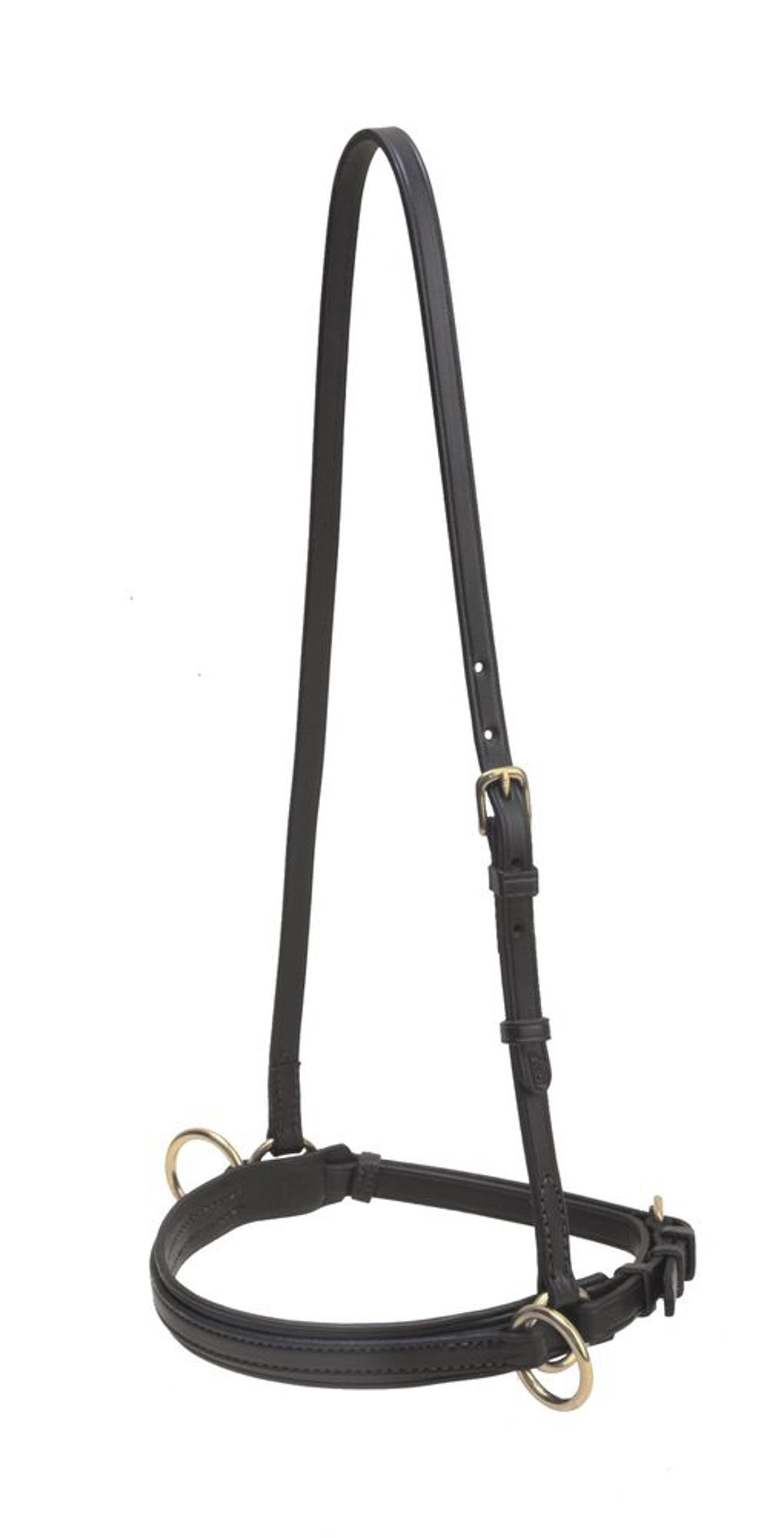 Bridle Leather Lunge Caveson