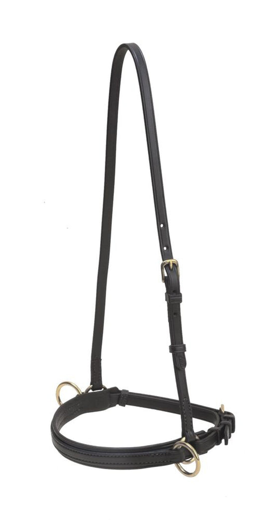 Bridle Leather Lunge Caveson