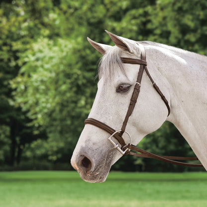 Plain Raised Bridle