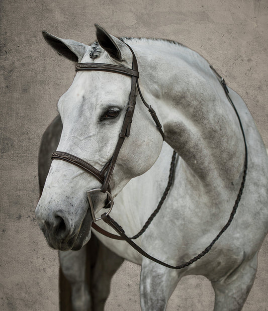 Hunter Fancy-Stitched Bridle