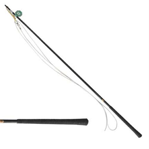 Telescoping Lunge Whip
