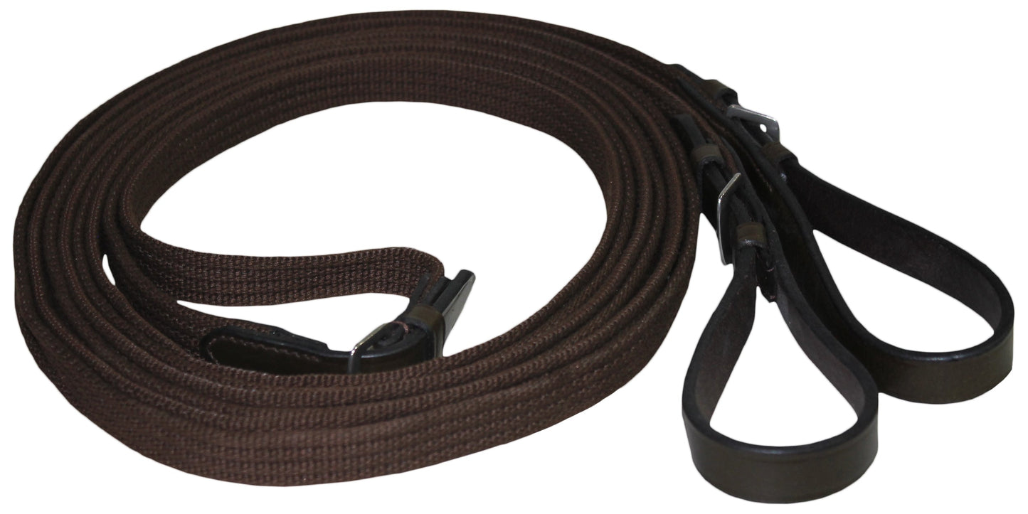 Web Draw Reins