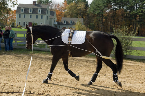 Training System
