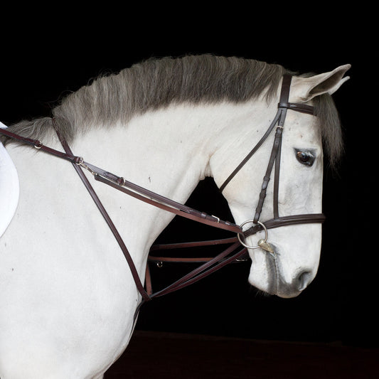 German Martingale Rein Set