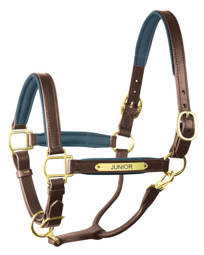 " Padded Leather Halter