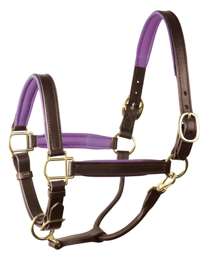 " Padded Leather Halter