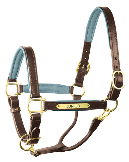 " Padded Leather Halter