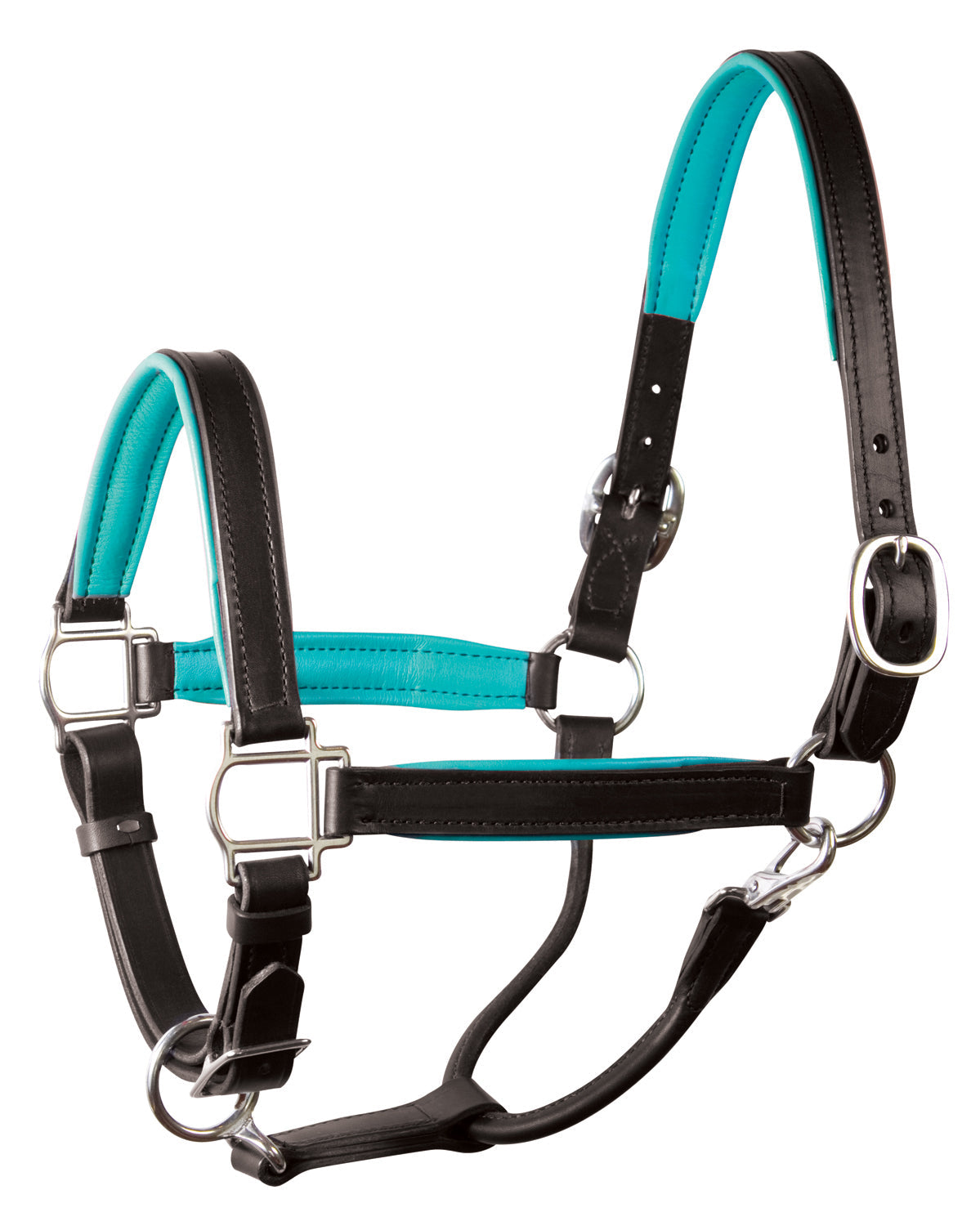 " Padded Leather Halter