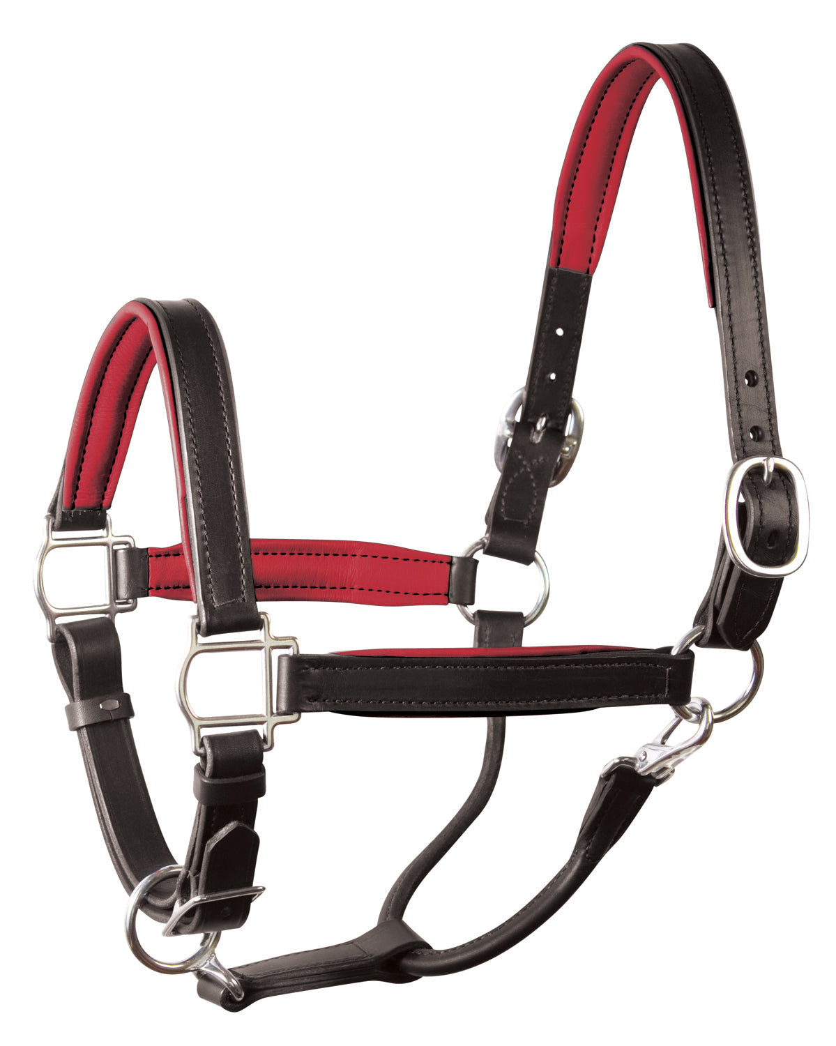 " Padded Leather Halter