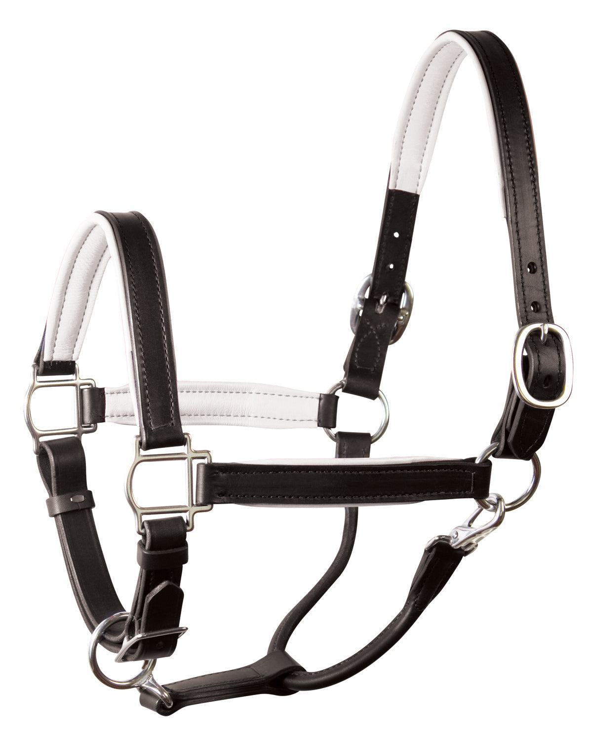 " Padded Leather Halter