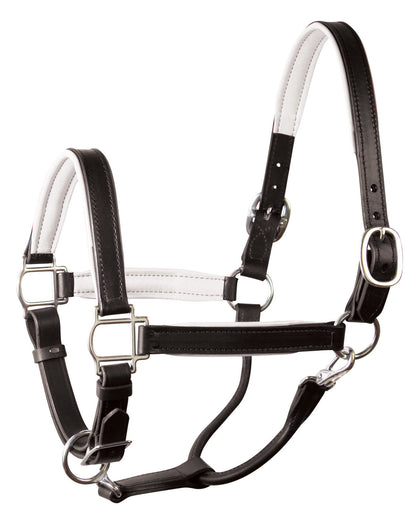 " Padded Leather Halter