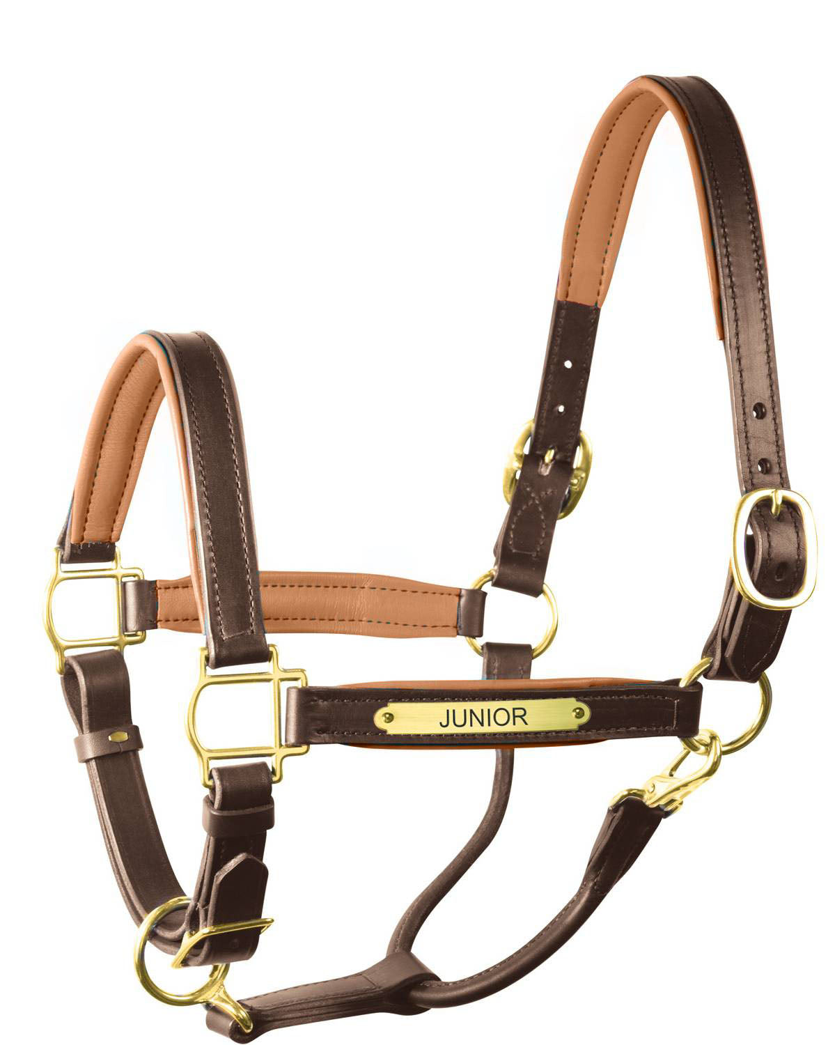 " Padded Leather Halter