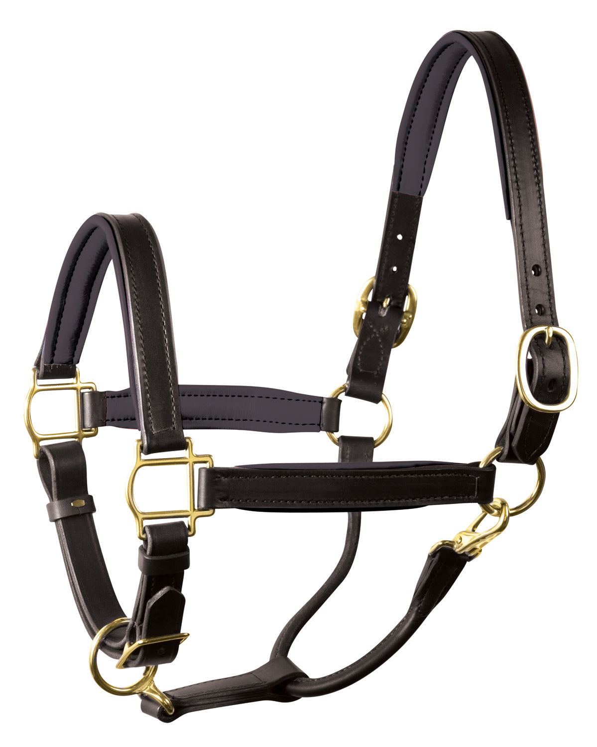 " Padded Leather Halter