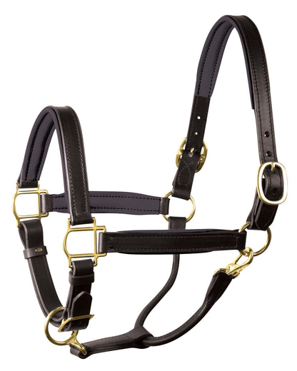 " Padded Leather Halter