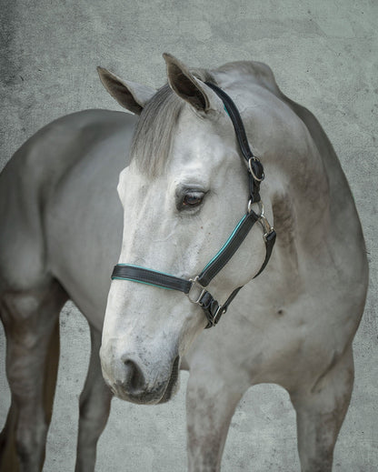 " Padded Leather Halter