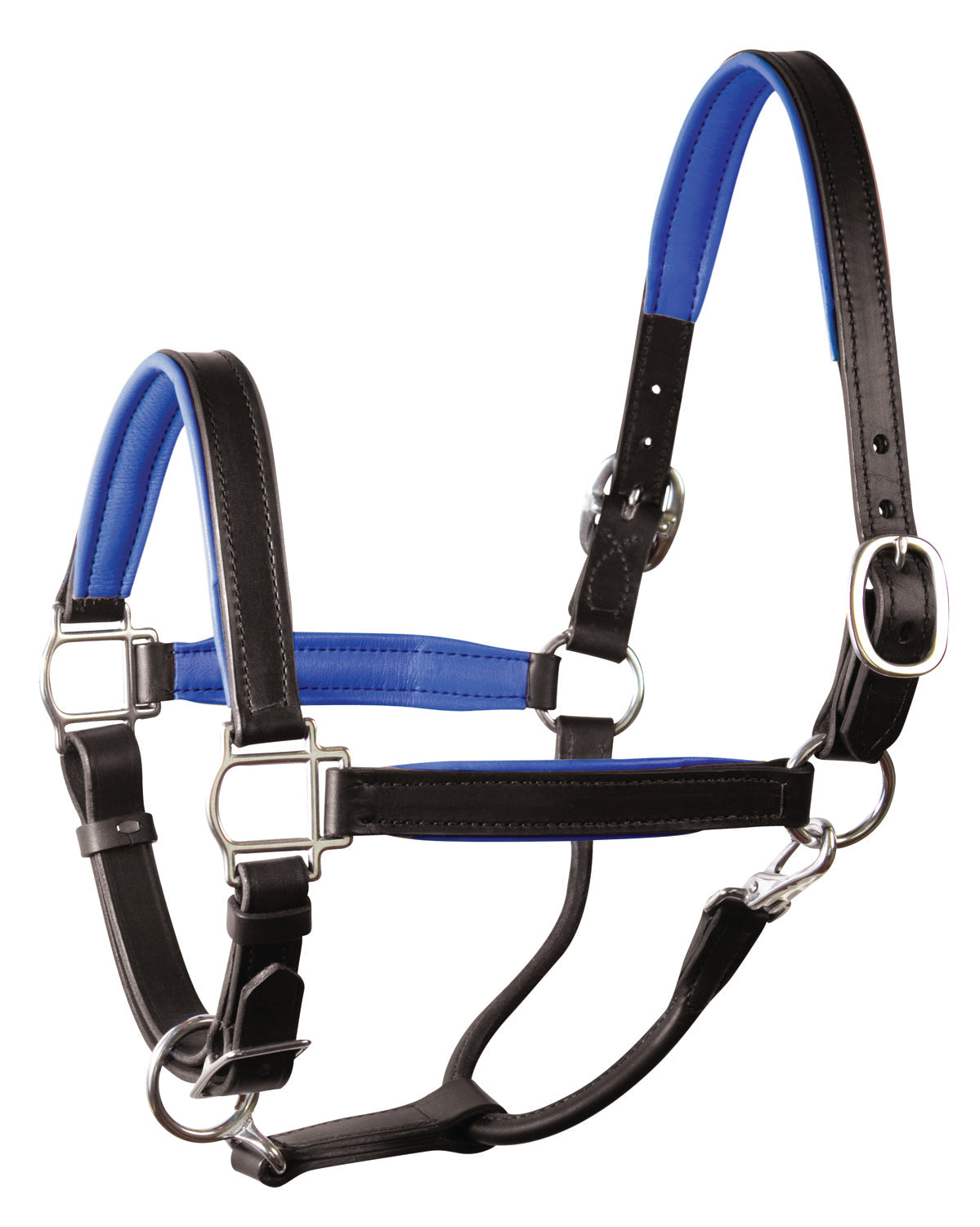 " Padded Leather Halter