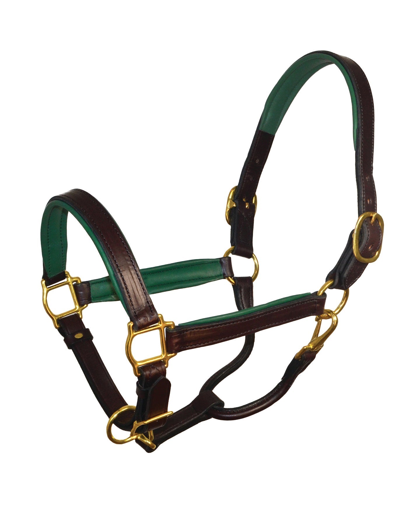 " Padded Leather Halter