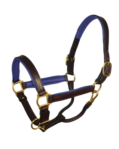 " Padded Leather Halter