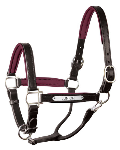 " Padded Leather Halter