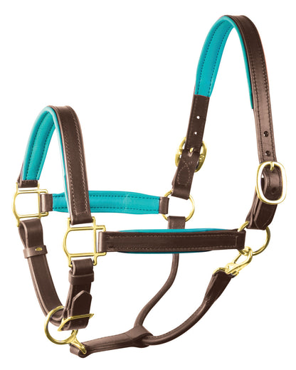 " Padded Leather Halter