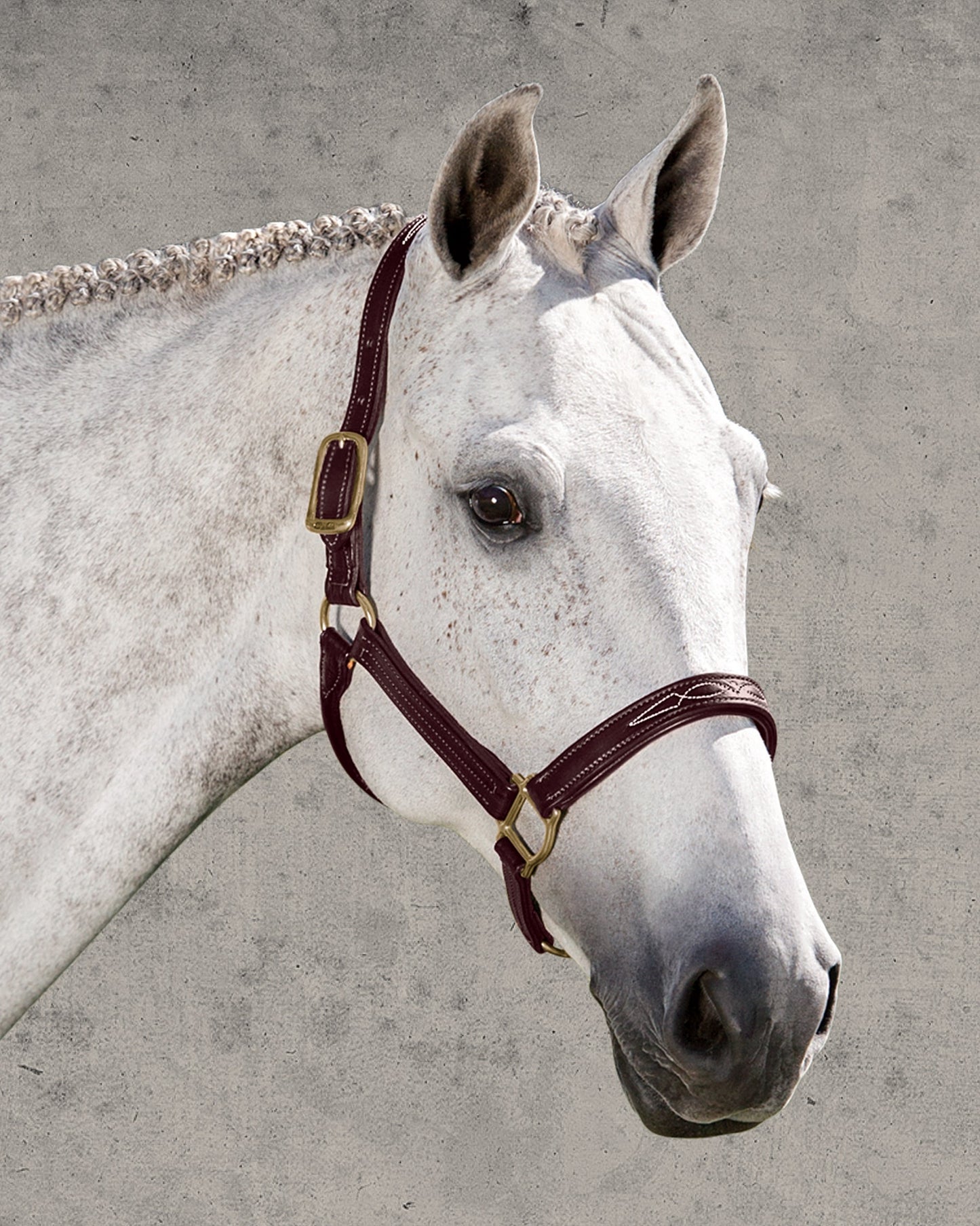 Signature Padded Halter