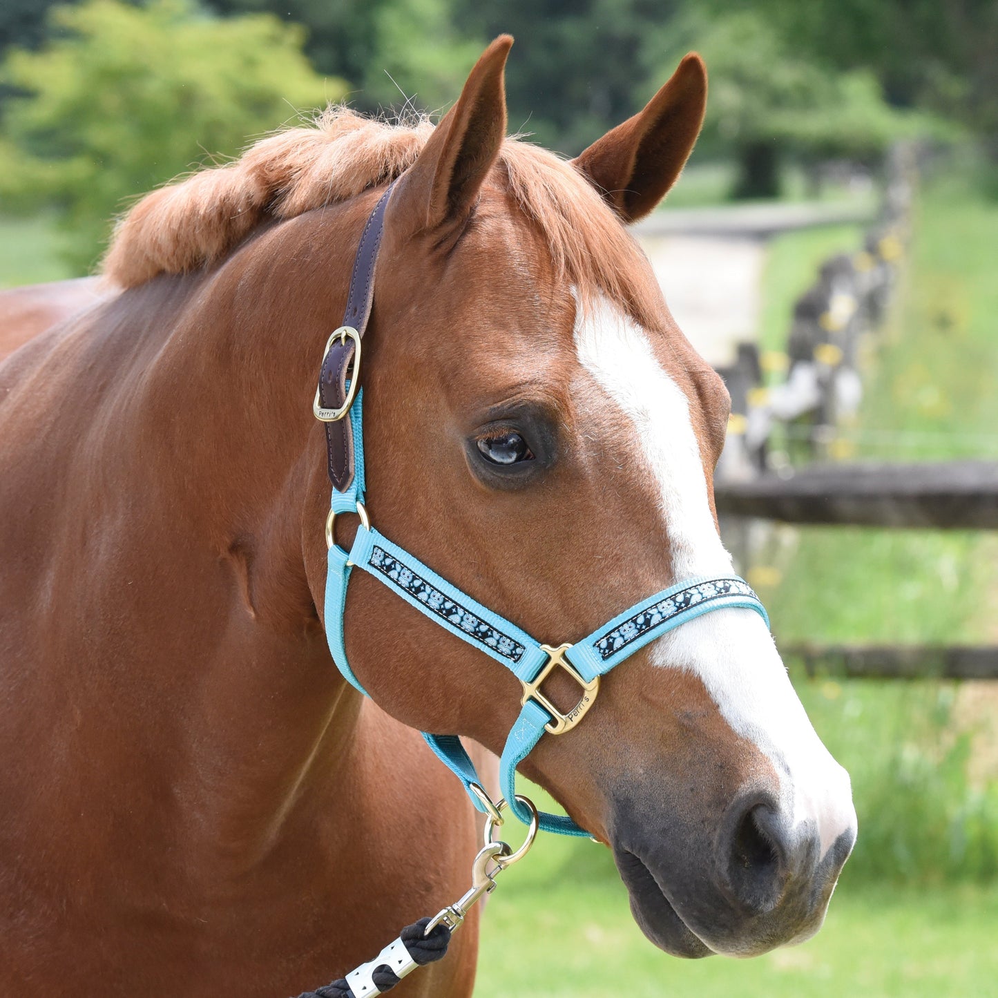 Ribbon Trim Breakaway Halter