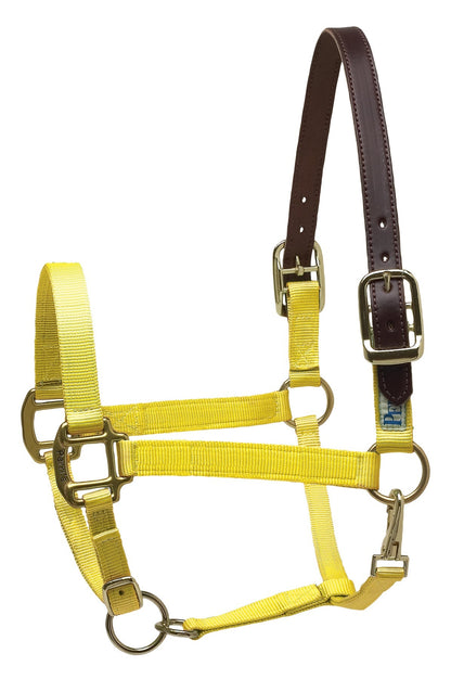 Premium Nylon Breakaway Halter