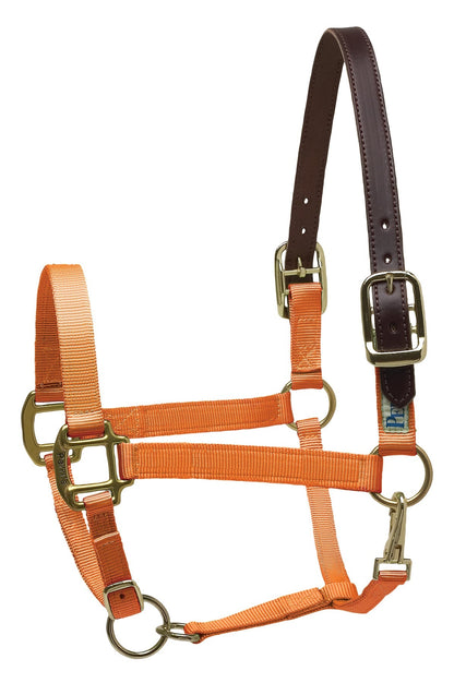 Premium Nylon Breakaway Halter