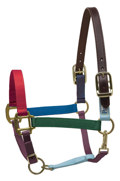 Premium Nylon Breakaway Halter