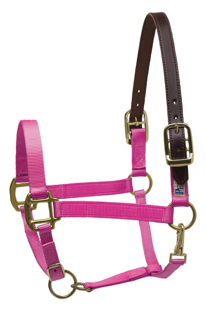 Premium Nylon Breakaway Halter
