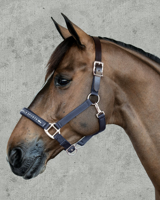 Memphis Halter