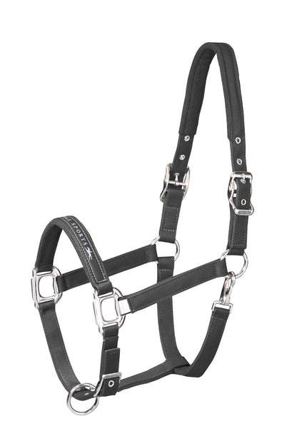 Memphis Halter