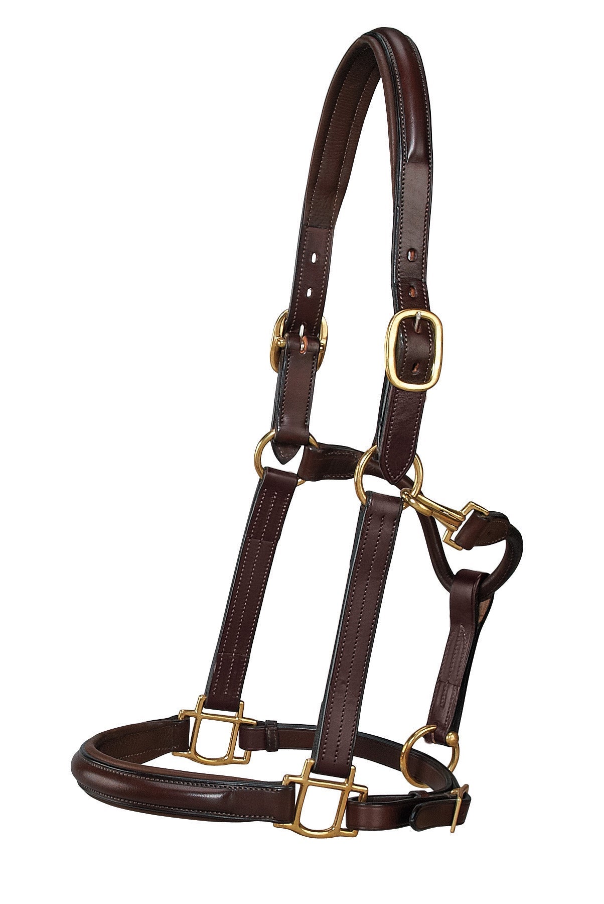 Classic Plain Raised Padded Halter