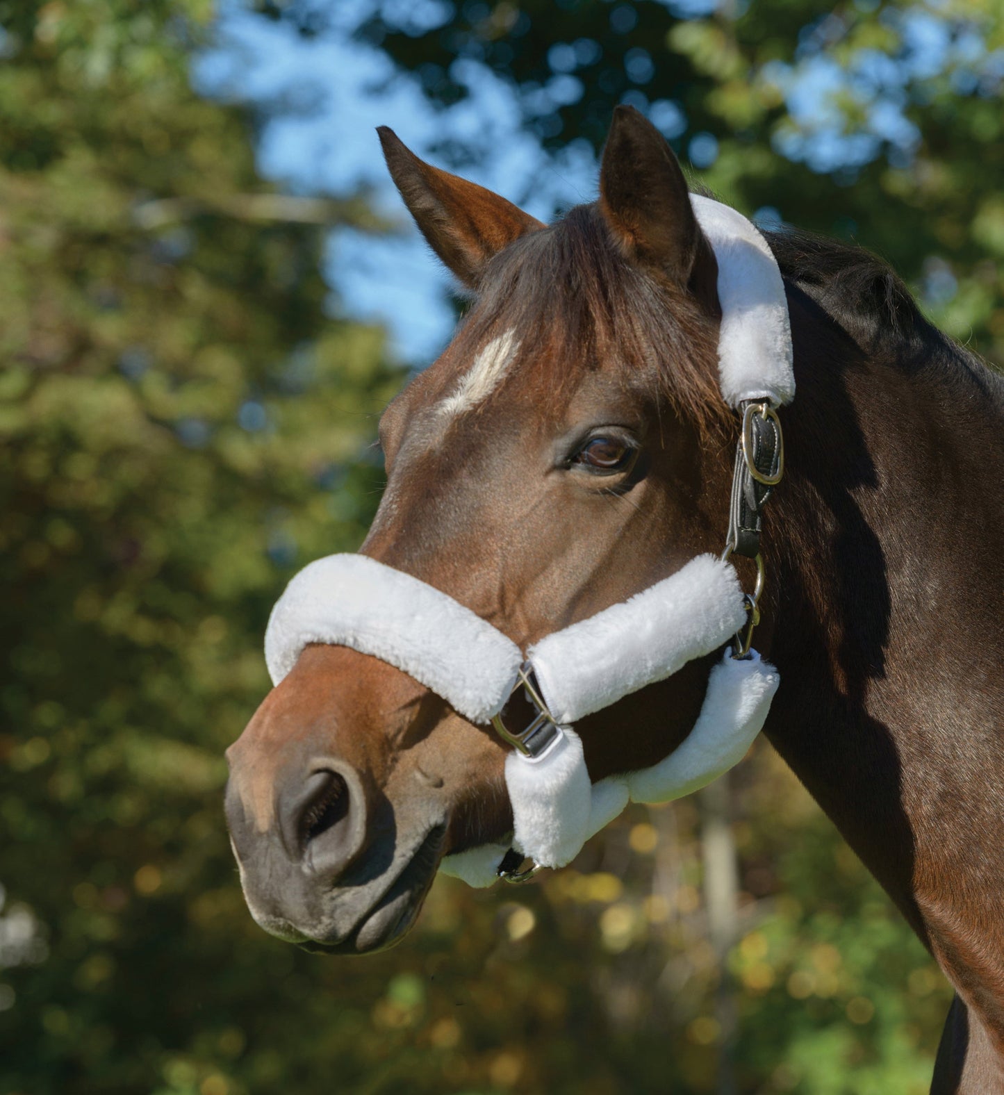 Shires SupaFleece Halter Fleeces - 9 piece set