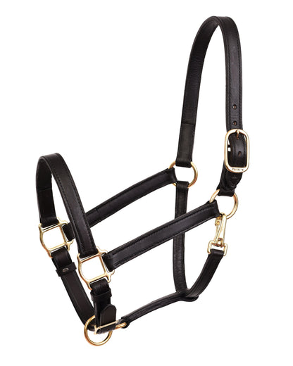 Leather Turnout Halter