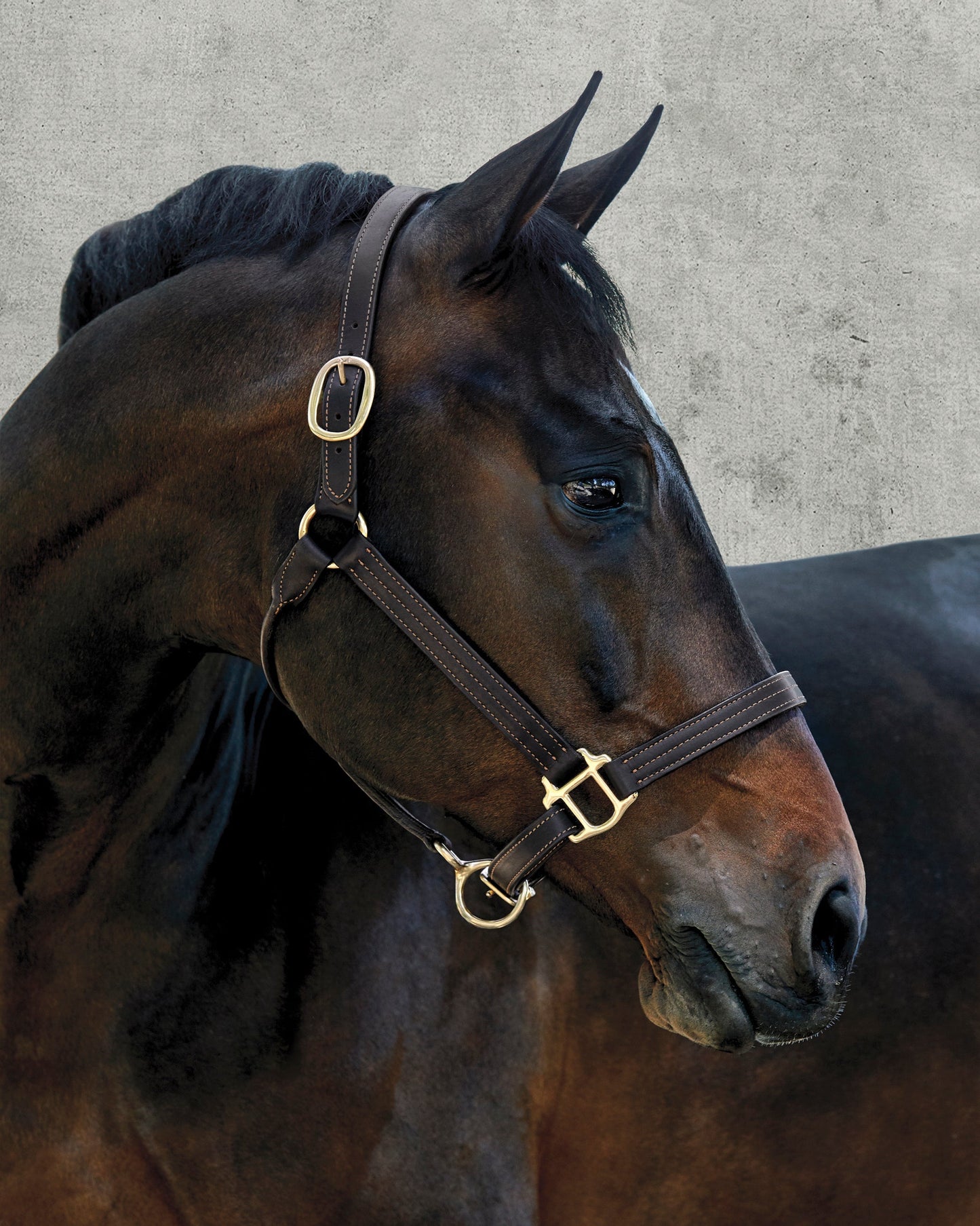 Palermo Triple-Stitched Halter
