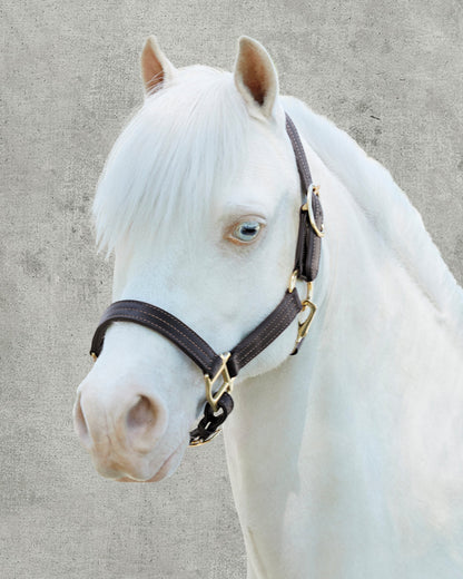 Palermo Triple-Stitched Halter