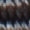 Heavy Nylon Halter