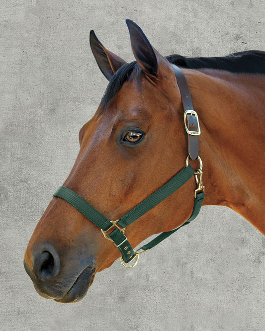 Heavy Nylon Breakaway Halter