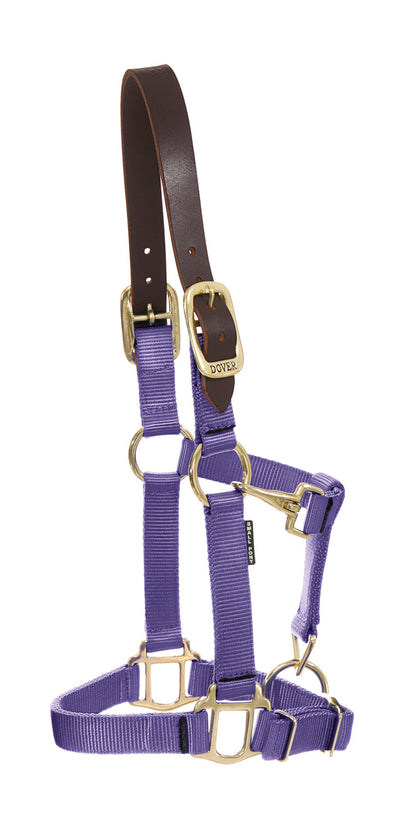 Heavy Nylon Breakaway Halter
