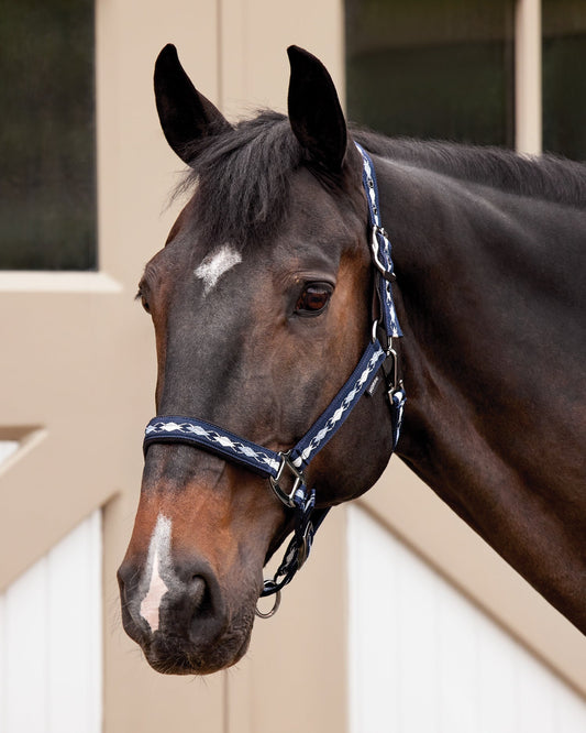Woven Argyle Breakaway Halter