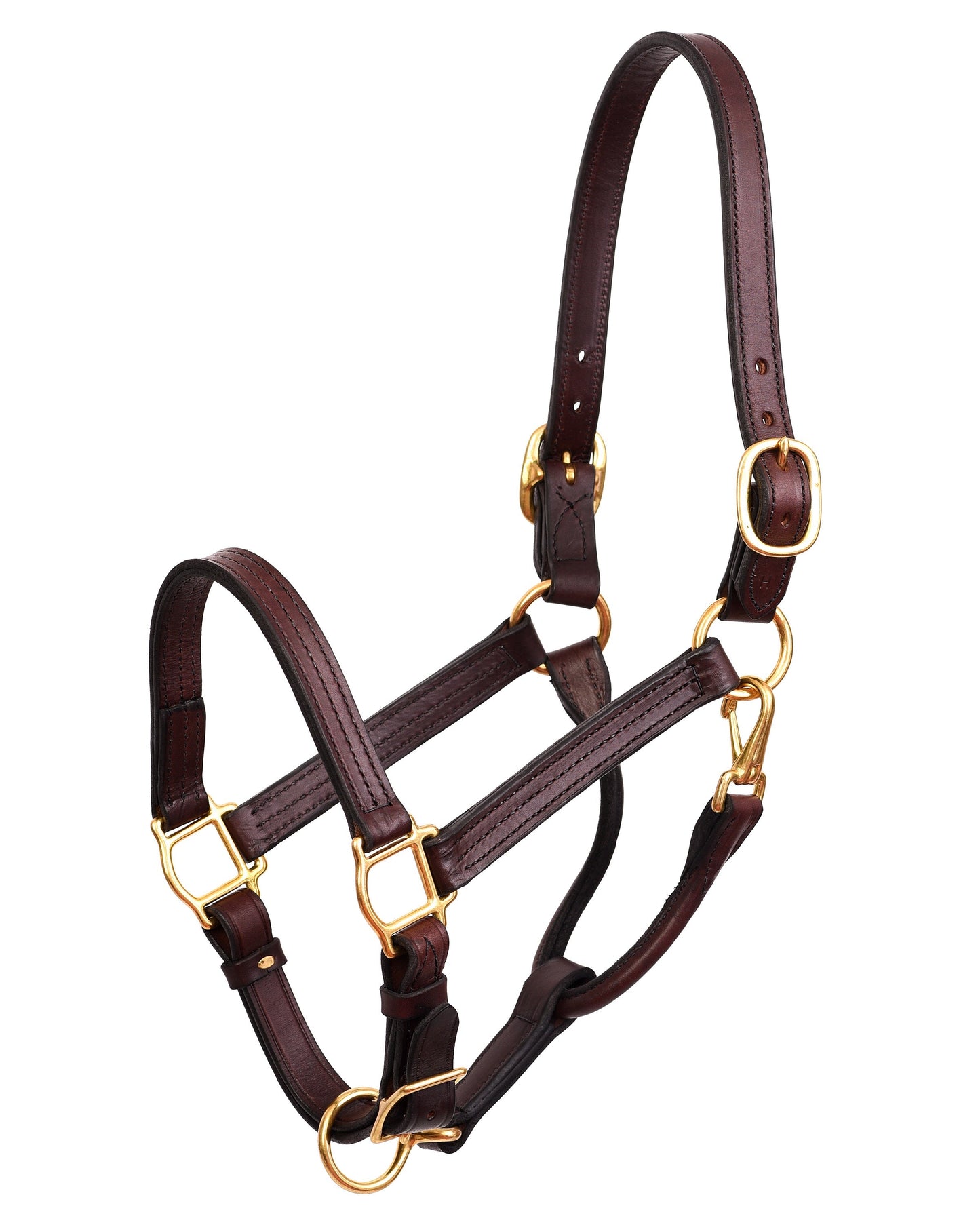 Horse Professional Show Halter
